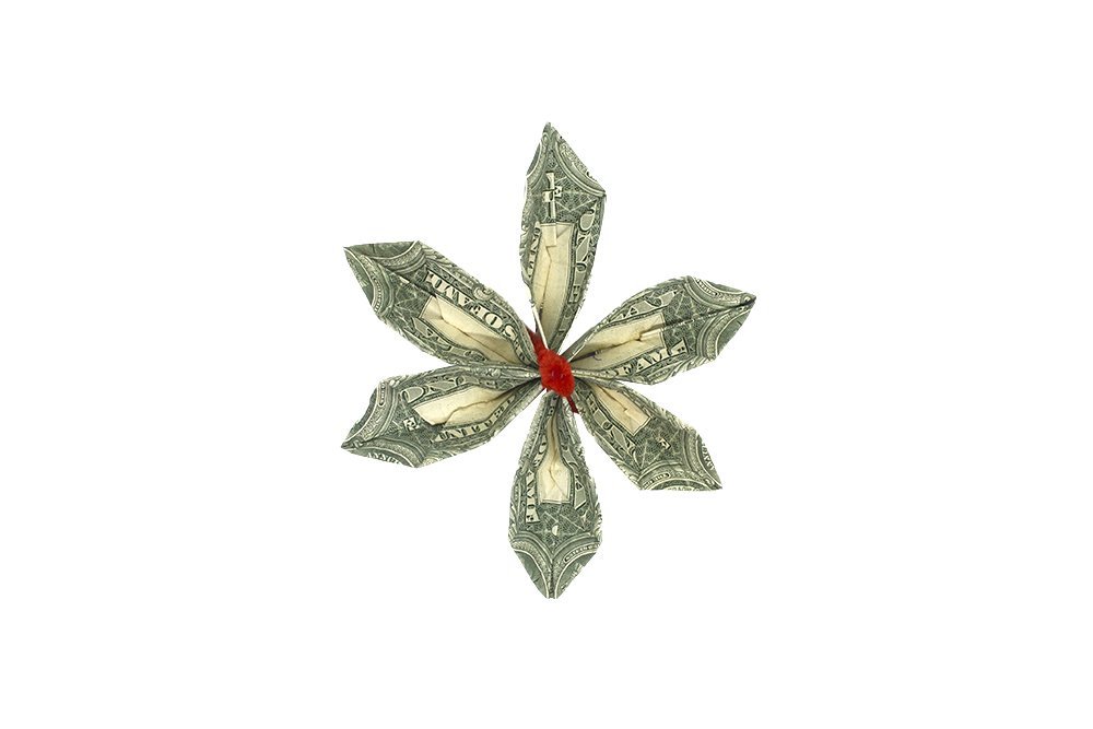 How to Make an Origami Money Flower - Final