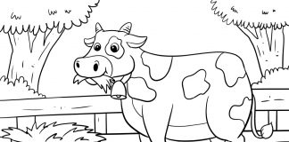 barnyard animal coloring pages